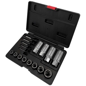 17-delige schroef- en bout verwijder set