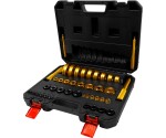 43-Piece Master Race & Bearing Seal Driver Set
