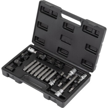 Dynamo-Poelie Bitset – 18-delig