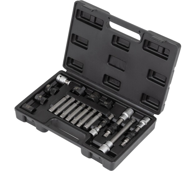 Dynamo-Poelie Bitset – 18-delig