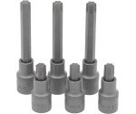 Torx-bitsdop – 6-delig T55 1/2'' S2-staal