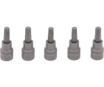 Torx-bitsdop – 6-delig T55 1/2'' S2-staal
