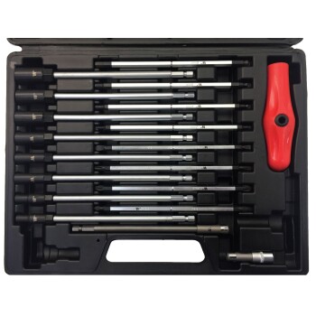 T-handgreep schroevendraaierset met verwisselbare bits, 18-delig